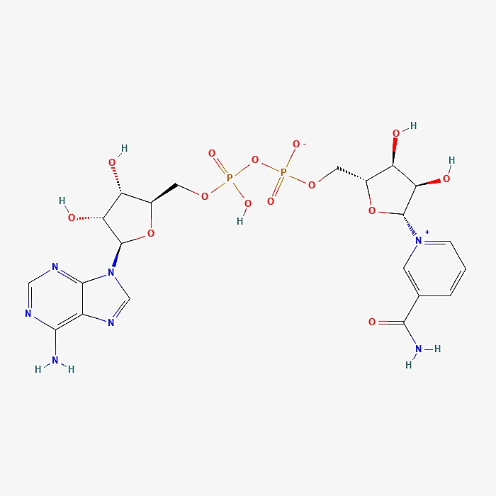 Two-dimensional chemical structure of NAD+